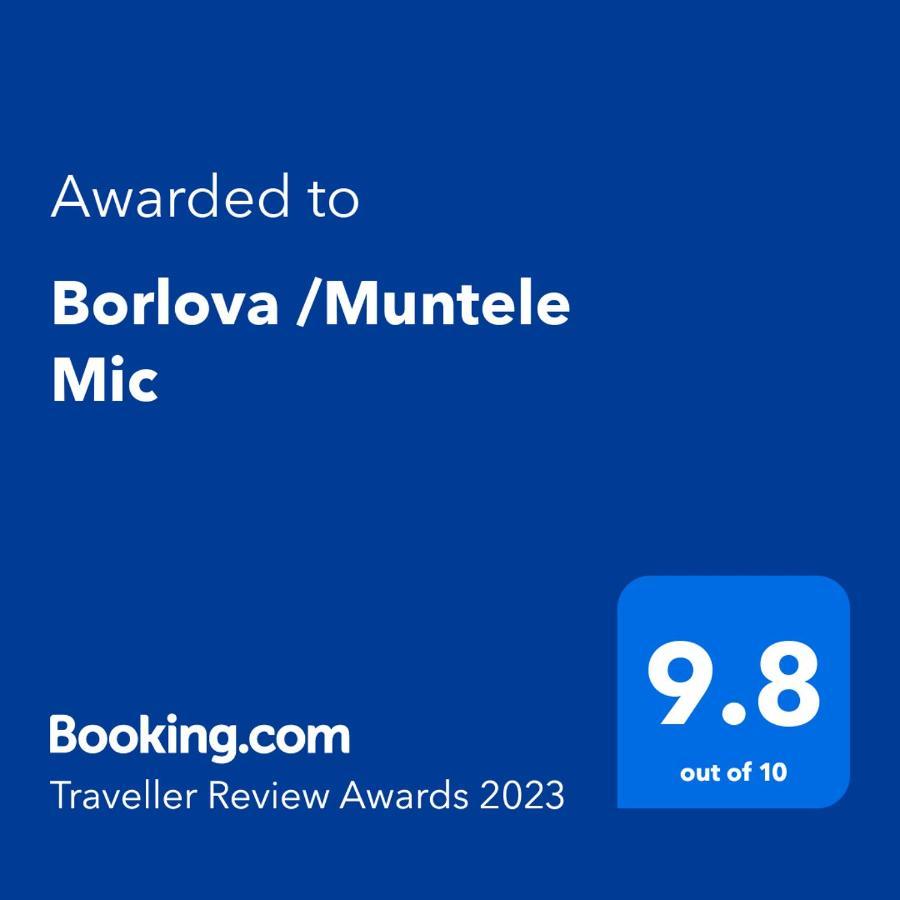 Borlova /Muntele Mic 호텔 외부 사진